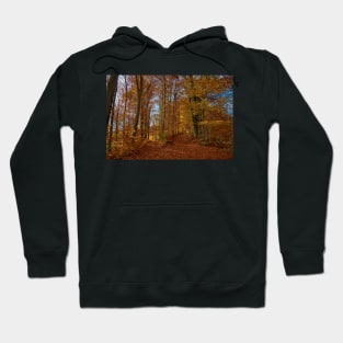 The high road or the low road? Hoodie